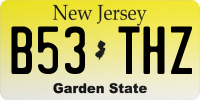 NJ license plate B53THZ