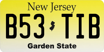 NJ license plate B53TIB