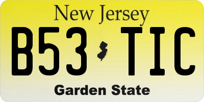 NJ license plate B53TIC