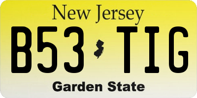 NJ license plate B53TIG