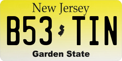 NJ license plate B53TIN