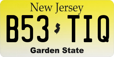 NJ license plate B53TIQ