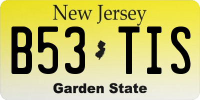 NJ license plate B53TIS
