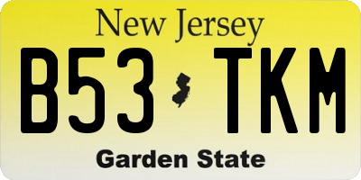 NJ license plate B53TKM