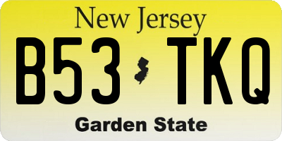 NJ license plate B53TKQ