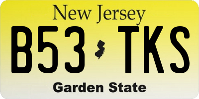 NJ license plate B53TKS