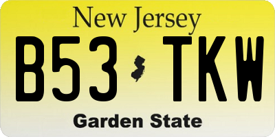 NJ license plate B53TKW
