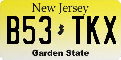 NJ license plate B53TKX