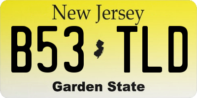 NJ license plate B53TLD
