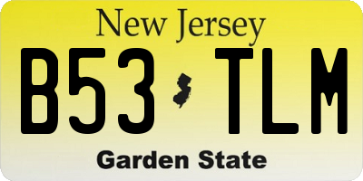 NJ license plate B53TLM