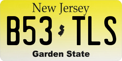 NJ license plate B53TLS