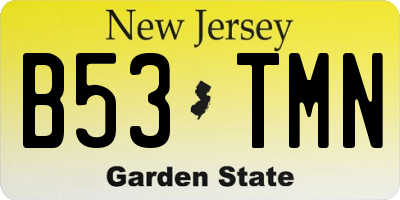 NJ license plate B53TMN