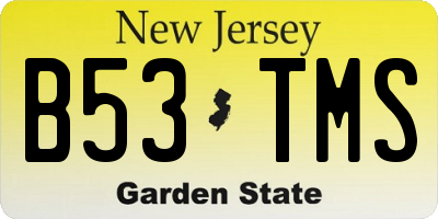 NJ license plate B53TMS