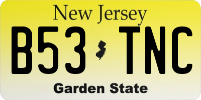 NJ license plate B53TNC