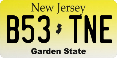 NJ license plate B53TNE