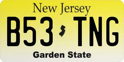 NJ license plate B53TNG
