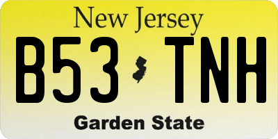 NJ license plate B53TNH