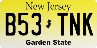 NJ license plate B53TNK