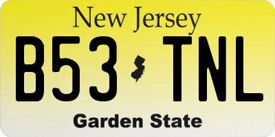NJ license plate B53TNL