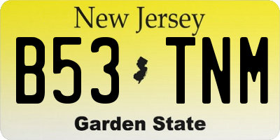 NJ license plate B53TNM