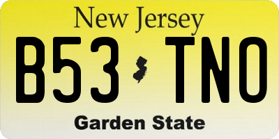 NJ license plate B53TNO