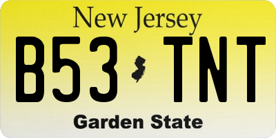 NJ license plate B53TNT