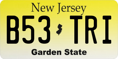 NJ license plate B53TRI