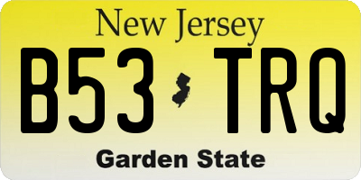 NJ license plate B53TRQ