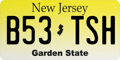 NJ license plate B53TSH