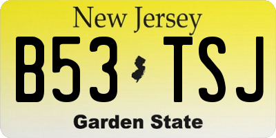 NJ license plate B53TSJ
