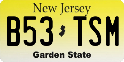 NJ license plate B53TSM