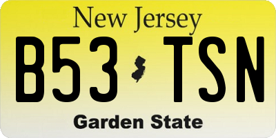 NJ license plate B53TSN