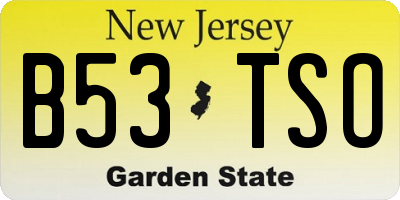 NJ license plate B53TSO