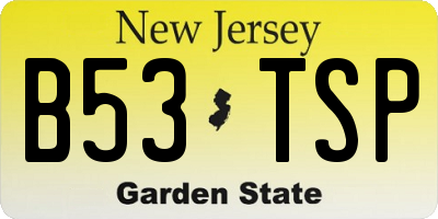 NJ license plate B53TSP