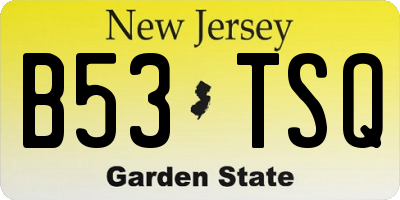 NJ license plate B53TSQ