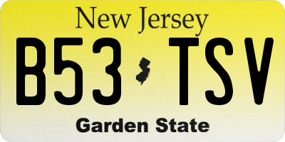 NJ license plate B53TSV