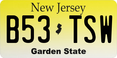 NJ license plate B53TSW