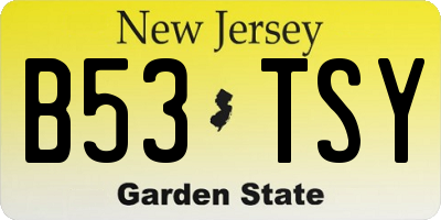 NJ license plate B53TSY