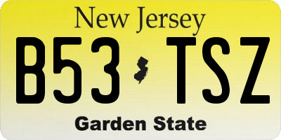 NJ license plate B53TSZ