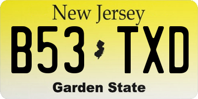 NJ license plate B53TXD