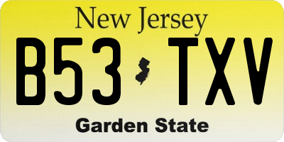 NJ license plate B53TXV