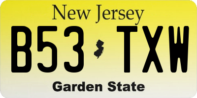 NJ license plate B53TXW