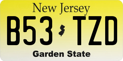 NJ license plate B53TZD
