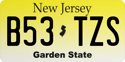 NJ license plate B53TZS
