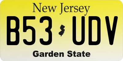 NJ license plate B53UDV