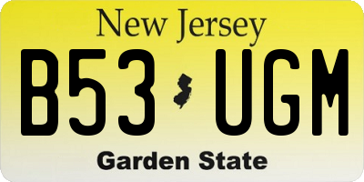 NJ license plate B53UGM