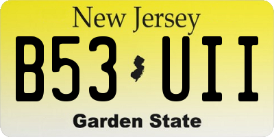 NJ license plate B53UII