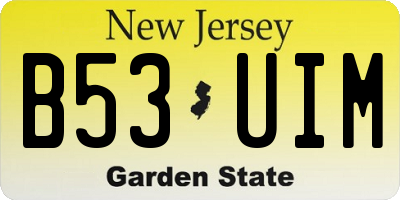 NJ license plate B53UIM