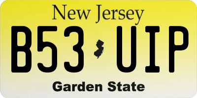 NJ license plate B53UIP