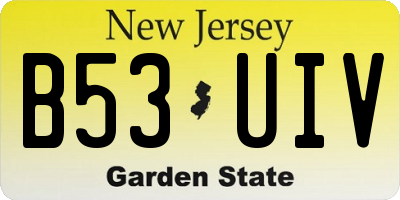 NJ license plate B53UIV